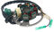 VANEZ Lichtmaschine/Stator Minarelli kompatibel für Adly Blizzard, Aprilia Area 51, Benelli 491, Garelli