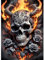 EOBROMD Diamond Painting Erwachsene Flammen, 5D Diamant Painting Bilder Erwachsene Totenköpfe, DIY Diamond Painting Bilder Diamant Malerei Blumen Set für Wanddekoration 30x40cm