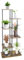 6-Tier Pflanzenständer Outdoor, 107cm Blumenständer Holz Pflanzenregal Indoor, Blumenregal Balkon Pflanzregal Plant Stand Blumentreppe für Draußen, Garten, Balkon Deko, Wohnzimmer, Büro(Mokkabraun)
