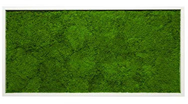 Moosbild Wandbild mit Moos, Moosplatte, versch. Maße (100% Flachmoos) (weiß, 110x55 cm)