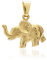NKlaus Kettenanhänger Elefant klein 333 Gelb Gold 15,5mm Beidseitig Tragbares Amulett 8635