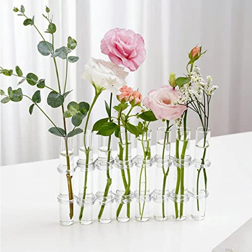 8/6 Reagenzgläser Blumenvase Klappbare Blumenvase Vase, Kreative Reagenzglasvasen, Glas-Reagenzglas-Knospenvase, Reagenzglas-Vasen Für Blumen, Reagenzglas-Vase Dekorativ, Hydrokultur Blumenvase