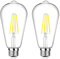 MLOQI 2 Pack Edison Screw Bulbs, 4W 6000K E27 Vintage Light Bulbs, Not Dimmable, Transparent Screw in Light Bulb (Cool White)