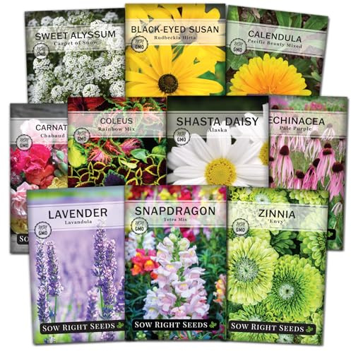 Sow Right Seeds - Large Flower Seed Collection - Coleus, Carnation, Daisy, Calendula, Alyssum, Echinacea, Lavender, Snapdragon & Zinnia - Non GMO Heirloom Seeds for Planting - 10 Packets