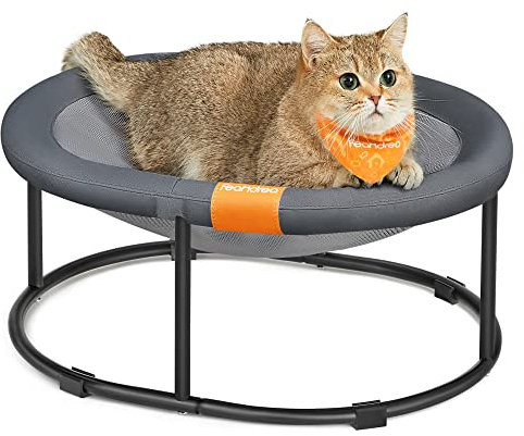 Feandrea Cat Hammock, Raised Cat Bed, Small Dog Bed, for Pets up to 8 kg, Free-Standing Pet Bed for Summer, with Removable Mesh, Machine Washable, Oval, Grey PCB001G01
