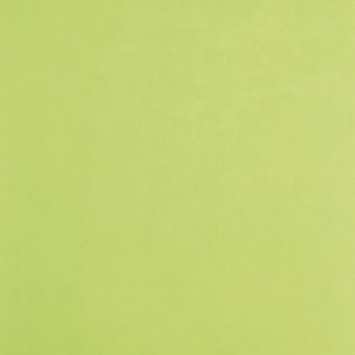 Lot de 5 Rouleau de 24 feuilles de papier de soie, 18 g/m², 0,75m x 0,50m, coloris vert pomme