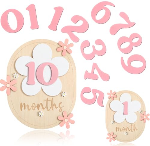 Beeveer 12 Months Baby Monthly Milestone Cards with 11 Interchangeable Numbers for Baby Growth Recording Daisy Wooden Bohemian Milestone Blocks Milepost Signs Boy Girl Photo Props