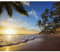 decomonkey - Papier Peint Panoramique Plage Mer 350x256 cm - Décoration murale moderne – Tapisserie décorative pour chambre salon - Mer nature ciel palmiers paysage plage soleil eau