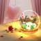 Ewige Echte Pusteblume im Glas, Muttertag Geburtstag Hochzeit Jugendweihe Geschenk für Mama Frauen Freundin Oma Schwester Mädchen, Wunscherfüller mit LED Licht