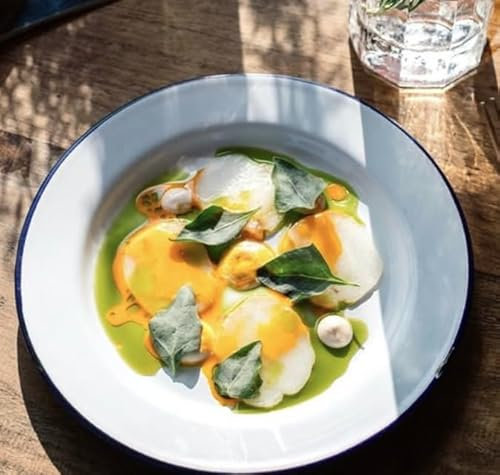 VG® Enamel White Wide Rim Dinner Plate Blue Trim 26cm Depth 3cm Deep Design Ideal for Hearty Stews to Pasta, Salads, Soup,Noodles, Serving Pie Plate, Oven Safe, Camping, Catering, Retro, Gastro