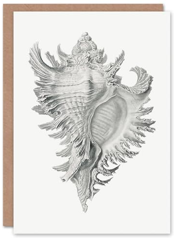 Artery8 Ernst Haeckel Art Card Whelk Sea Snail Shell Drawing