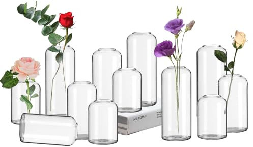 Hewory Kleine Vasen für Tischdeko: 12er Set Klar Vasen Deko Glaszylinder Vase Glas, Klein Glasvase Rund Zylinder Vasen Set, Modern Deko Vase Klein Blumenvase Glas für Wohnzimmer Hochzeit Party