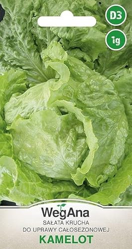 WegAna Semillas de Lechuga Camelot 1g, Semillas de Hortalizas Robustas tipo Batavia, Semillas de Hortalizas, Semillas de Cultivo, Semillas para Invernadero