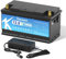Lifepo4 Akku 12v 100ah Autobatterie mit BMS Ersetzt AGM oder Gel Aufbau Batterie für Wohnmobil, Boot, Camping oder Solaranlage - mit lifepo4 ladegerät