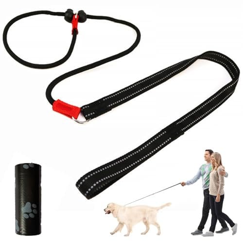 Reflective Nylon Dog Leash Slip Rope, Adjustable Slip Collar Design of Training Dog Collar and Control Traction Rope Nylon Webbing for Training and Walking, Suitable for Small Medium Dogs- 59 * 2
