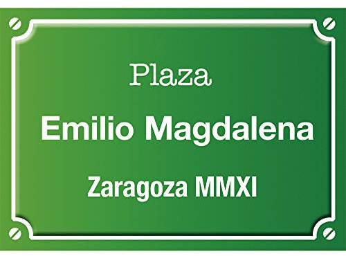 Regalo divertido para cumpleaños, Navidad, aniversario, Día del Padre, Día de la Madre, San Valentín, inauguración de una casa, despedida del trabajo... Placa de calle personalizada (Verde)
