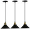 GLING 3 Vintage Black Pendant Light, Battery Operated Led Industrial Hanging Pendant Light with Remote Control for Restaurants Galleries Aisle Kitchen Room Doorway (Color : Black)