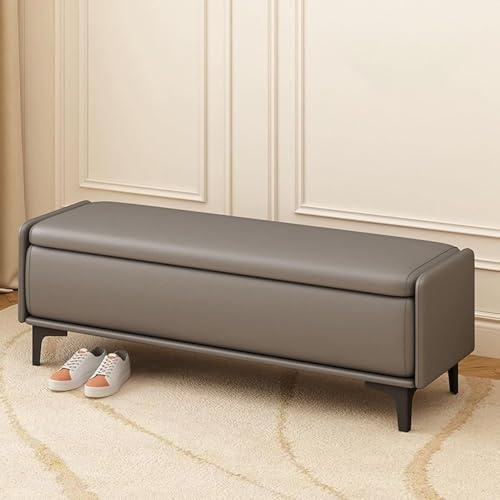 Moderne Aufbewahrungsbank für Wohnzimmer und Eingangsbereich, gepolsterte Ottomane zum Schuhwechsel und Fenstersitz, multifunktional, grau, Sofa-Bank (60 cm)