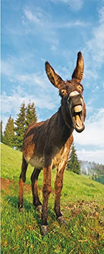 A.Monamour Türtapete Selbstklebend Türfolie Türposter 3D Ein Lustiger Esel Bei Sonnenuntergang Tier Thema Vinyl Folie Türdeko Tapete Wandbild Türaufkleber Türtattoo 85 x 200 cm