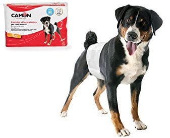Camon Pannolini usa e getta a fascia elastica per cani maschi Taglia M Diametro 46/60 cm 12 pezzi