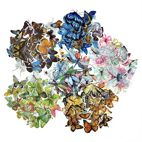 240PCS Schmetterling Libelle Insekten Aufkleber Set PET Transparent Dekorative Aufkleber Scrapbooking Aufkleber für DIY Handwerk Album Bullet Journal Planer Wasserflaschen Telefon Hüllen Laptops