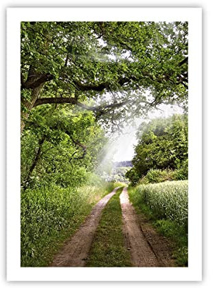 ARTTOR Deco Affiches Murales 50x70cm Affiche Decoration Murale Chemin nature forêt vert Cuisine Wall Art Design Moderne Poster sans Cadre Tableau Decoration Salon Chambre Decor P2XPA50x70-2637