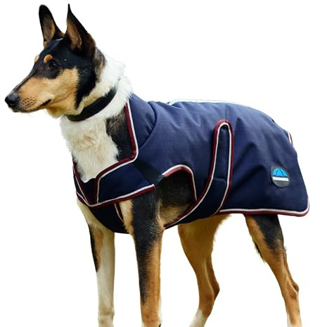 2025 Weatherbeeta Comfitec Premier Deluxe Wasserdicht Dog Coat 1028800 - Navy