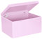LAUBLUST Große Holzkiste mit Deckel - Allzweck-Kiste aus Holz - Aufbewahrungskiste | Spielzeug-Truhe - Geschenk-Verpackung | Deko-Kasten zum Basteln FSC® (Rosa, ca. 40 x 30 x 24 cm | XL)
