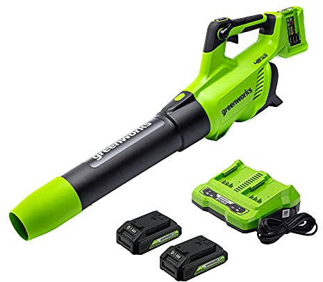 Greenworks BL48B2210 Axial Leaf Blower, 2.5Ah x 2 Battery and Charger, Green