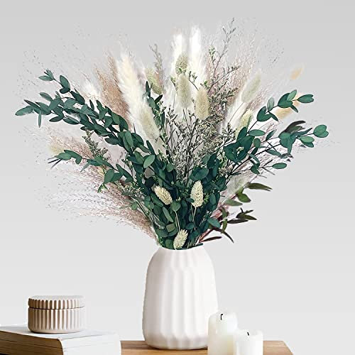 Pampa Séchées Naturelle Décoration,Bouquet Séché Décor d'herbe de la Pampa,Plantes Décoratives de Décoration Boho Decoration pour Maison, Mariage, Vacances, Fête (65 bâtons)