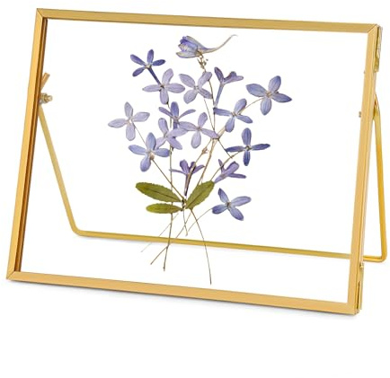 REDHUGO Glasrahmen für gepresste Blumen, handgefertigt, schwebender Glasbilderrahmen, Tischrahmen aus Messing, Fotorahmen für DIY-Projekte mit getrockneten Blumen und Pflanzenspezimen, rechteckig