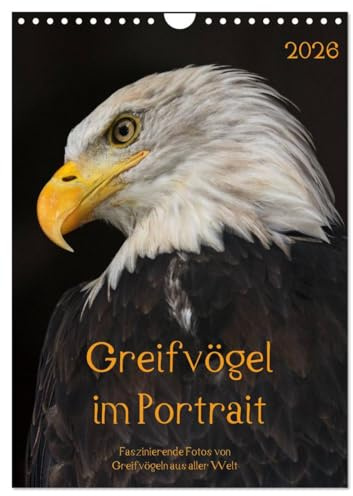 Greifvögel im Portrait (Wandkalender 2026 DIN A4 hoch), CALVENDO Monatskalender: Faszinierende Fotos von Greifvögeln aus aller Welt (CALVENDO Tiere)