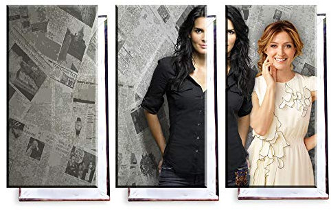 Unified Distribution Rizzoli & Isles - Dreiteiler (120x80 cm) Kunstdruck auf Leinwand • erstklassige Druckqualität • Dekoration • Wandbild