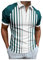 RRGEAR Herren Poloshirt mit Reißverschluss Revers T-Shirt Streetwear Tops Vintage Frühling Sommer Kurzarmshirt Polohemd Baumwoll Polo Kochjacke Herren Für Anfänger in der Schule