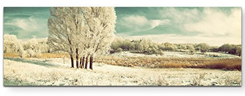 Paul Sinus Art Leinwandbilder | Bilder Leinwand 120x40cm eisige Winterlandschaft mit Baum