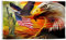 American Pride Eagle Sunset Freedom Flagge, 90 x 150 cm, UV-beständig, doppelseitig, doppelt genäht, 150D Polyester-Banner für den Einsatz im Innen- und Außenbereich (Adler Sunset Freedom)