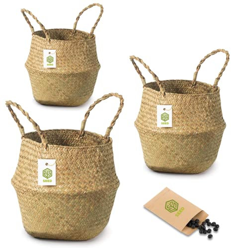 SEED Cesto Mimbre + Semillas de Regalo - Cesta Maceta Decorativa Interior - Cesta Mimbre Para Plantas, Macetero Decorativo, Cubre Macetas Decorativas Interior, Juguetes, Ropa, Fruta (Pack 3 S+M+L)