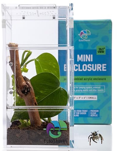 Springspinnen-Babitat, Terrarium-Set – Käfer & Spinnenkäfig, Frosch & Betende Mantis Gehege