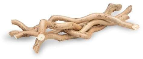 NaDeco Korkenzieher-Zweig, 5 Stück, Länge 20-30cm | Deko AST | Korkenzieherhasel | Haselzweige | Dekoholz | Sitzstange für Wellensittiche | Terrarium Deko | Schredderzweige für Vogel | Knabberzweige