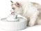 VinDox 360 Katzenbrunnen Keramik, 2.1L Trinkbrunnen für Katze Keramik Trinkbrunnen Schüssel für Katze und Hunde mit Ersatzfilter und Schaumstoff Intelligente Pumpe (weiß)