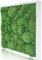 naturewalls Parent- Moosbild KM (Weiß, 55 x 55)