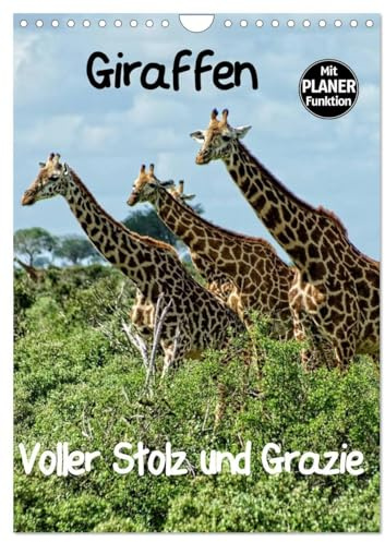 Giraffen. Voller Stolz und Grazie (Wandkalender 2026 DIN A4 hoch), CALVENDO Monatskalender: Giraffen. Faszinierende Wildtiere Afrikas. Majestätisch und Graziös. (CALVENDO Tiere)