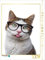CALVENDO Puzzle Talk Nerdy to me! 1000 Teile Lege-Größe 48 x 64 cm Foto-Puzzle Bild von Thorsten Nilson