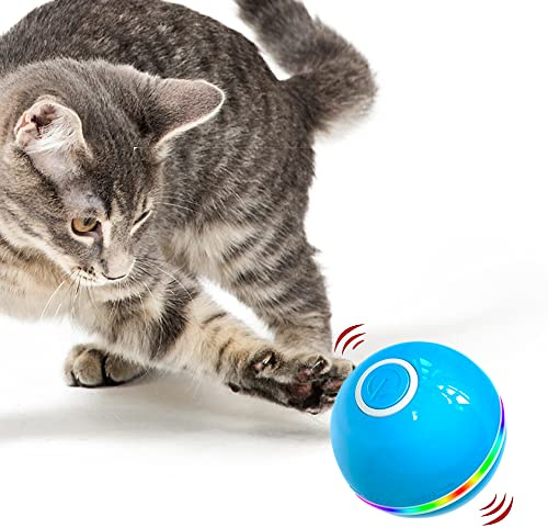Cool Paws Premium Interactive Cat Toys Ball – Fun & Interactive Cat Toys for Indoor Cats | 360° Self-Rotating Ball with LED Light for Cats to Stimulate Hunting Instinct | USB Rechargeable Toy in Blue