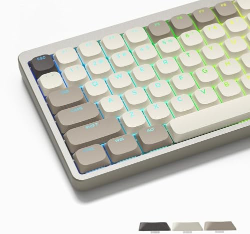 LQXQ Low Profile Keycaps 143, PBT Tastatur Tastenkappen Shine Through, Keycaps für ANSI US 60% 65% 75% 80% 100% Cherry Gateron MX Schalter Mechanische Tastatur, Khaki Grau (ISO Nicht unterstützt)