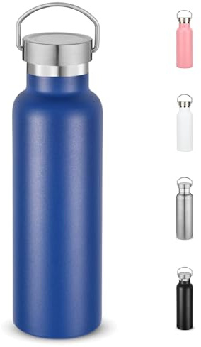 Water Bottle Stainless Steel Insulated 500ml with Leakproof Lid and Handle, Double Wall Vacuum Travel Bottle for School, Hiking, Travel - Reusable Metal Standard Mouth Flask for Everyday Use (Blue)