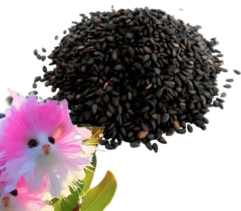 Cat Face Flower Seed | 100PC Cat Face Orchid Seeds | Cute Novelty Orchid Flower Plant Seeds with Unique Shape | Natural Fragrance Decorative Fresh Blooms for Bedrooms Study Room