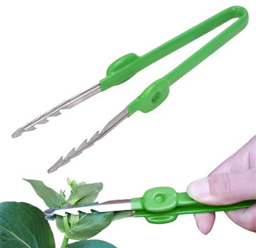 Outils de pince à épiler pour succulentes, Bonsai Tool Pince à épiler courbée à pointe dentelée, Outil en acier inoxydable pince à de jardinage d'alimentation pour jardinage de cactus et