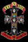 Guns N' Roses Poster (61cm x 91,5cm) + Un Poster Surprise en Cadeau!
