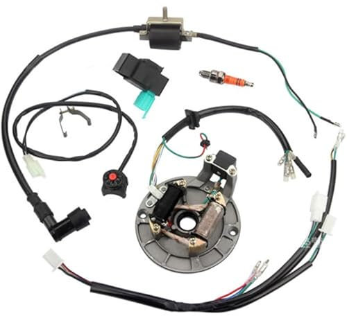 Baceyong Dirt bike allumage dirt 125cc Faisceau de câblage Bobine d'allumage Magneto Stator pour Dirt Pit Bike 50cc 70cc 110cc 125cc